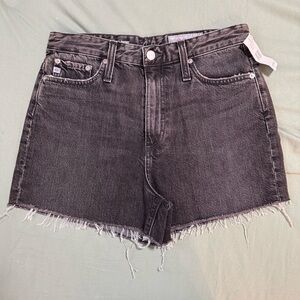 AG Adriano Goldschmied "The Mikkel" High Rise Vintage Jean Shorts